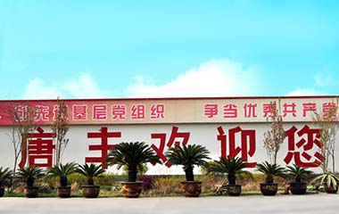 唐豐