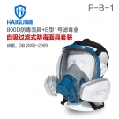 海固HG-800D/P-B-1/HG-TLMG防毒面具 無(wú)機(jī)氣體綜合防護(hù)