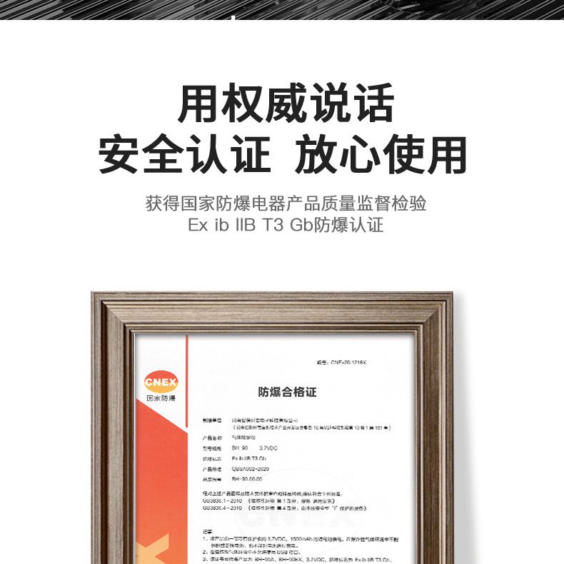 保時(shí)安BH-90便攜式擴(kuò)散式單一氣體檢測(cè)儀7.jpg
