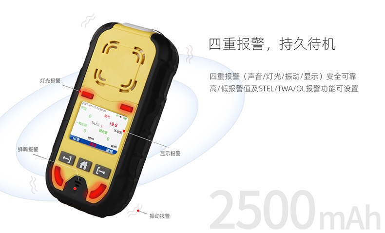 保時(shí)安BH-4M擴(kuò)散/泵吸四合一氣體檢測(cè)儀2.jpg